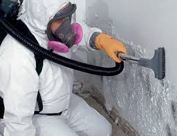 Best Mold Removal for HVAC Installations  in USA